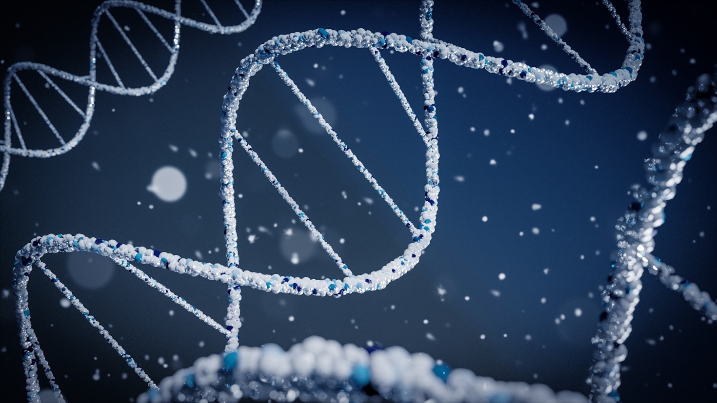 Understanding the Biological Markers of Human Longevity